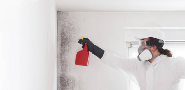 Best Residential Mold Removal  in Wheeler, TX